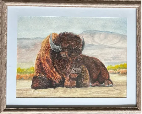 Framed painting of a bison lying in grass