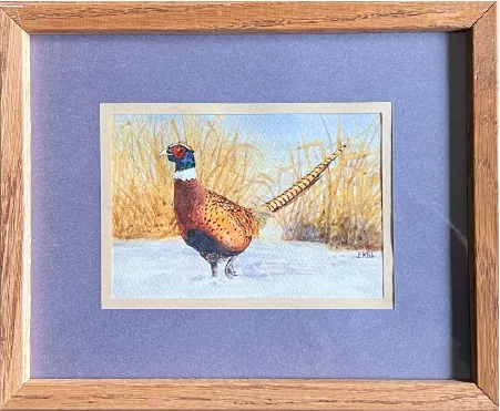 Framed painting of a pheasant in snow