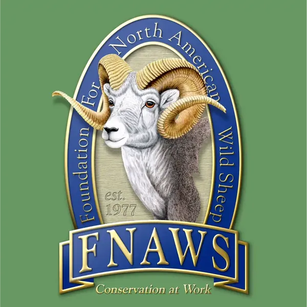 Foundation for North American Wild Sheep bighorn design on green